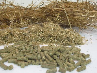 grass pellets fuel