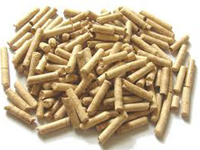 bagasse pellets