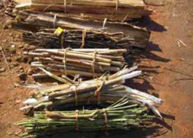 bamboo waste