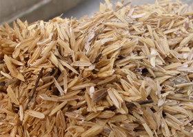 rice husks